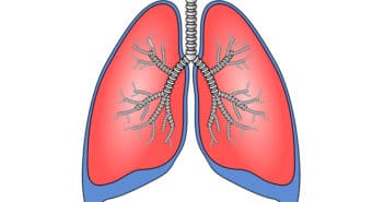 Ny metod ger fler lungtransplantationer lungtransplantationer